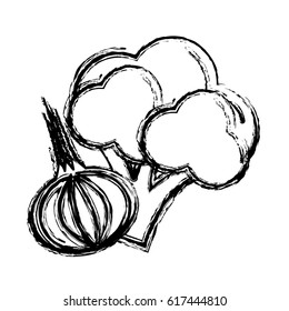 contour broccoli and garlic vegetable icon
