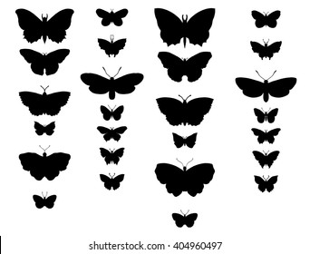 Contour butterflies. Black insect circuit. Set.