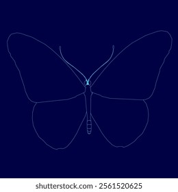 Contour of butterflies. Blue pictures of butterflies. Insect butterfly blue outline, winged gorgeous animal, vector illustration