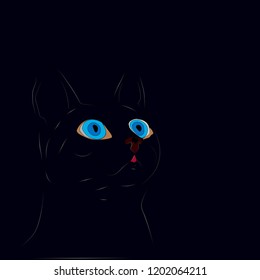 Contour of a cat. Cat eye.
