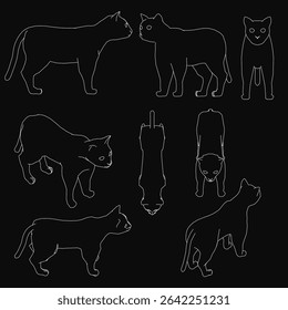 Contorno de gatos em um estilo vetor limpo se destacam contra um fundo preto, criando contraste impressionante. O conjunto apresenta múltiplas poses felinas com contornos nítidos e design minimalista.