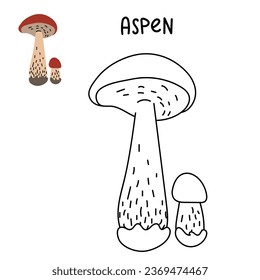 Contour and color drawing of an edible mushroom aspen with names for coloring. Isolated vector flat illustration. aspen. Edible mushrooms in forests, large and small, study, play, creativity on white