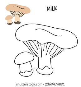 Contour and color drawing of an edible mushroom milk with names for coloring. Isolated vector flat illustration. Edible mushrooms in forests, large and small, study, play, creativity on white