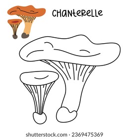 Contour and color drawing of an edible mushroom chanterelle with names for coloring. Isolated vector flat illustration. Edible mushrooms in forests, large and small, study, play, creativity on white