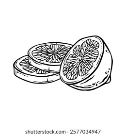 Contour composition of half and round lemon slices. Free hand drawn ink illustration of citrus fruit in etching style for decoration and design of kitchen textiles, packaging or label. Outline sketch