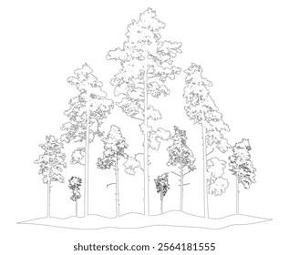 Contour of coniferous forest, pine trees. Beautiful nature, woodland. Vector illustration