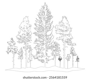 Contour of coniferous forest, pine trees. Beautiful nature, woodland. Vector illustration