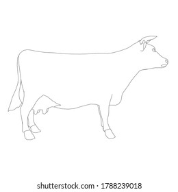 Contour of a cow from black lines on a white background. Side view. Vector illustration