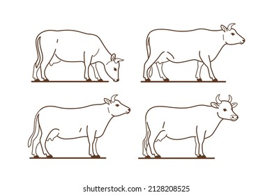 Contour cow icon set. Cute animal character in different poses. Vector illustration for prints, clothing, packaging, stickers.