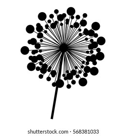 contour dandelion with stem and pistil closeup