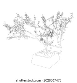 Contour of a decorative tree in a pot made of black lines isolated on a white background. Vector illustration.