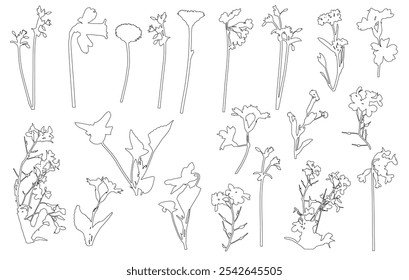 Contour of different flowers (daffodil, daisy and etc.), different wild plants. Set, vector illustration