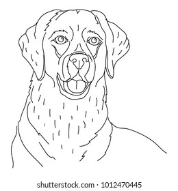 Contour dog. Vector illustration.