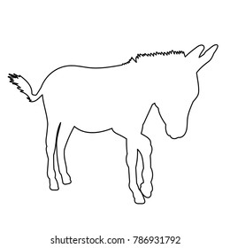 contour of donkey, sketch