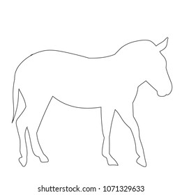 contour of donkeys, pony