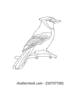 Contour drawing of a bird sitting on a branch