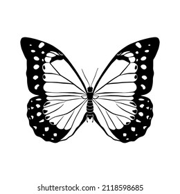 Contour Drawing Of A Butterfly On A White Background. Doodle Style. A Design Element.