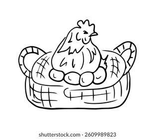 Contour drawing of a chicken in a wicker basket with eggs. Vector illustration in doodle style for a farm product brand, logo, logo, print. Packaging for eco-friendly products, grocery store.