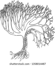Contour drawing of decorative tree with roots