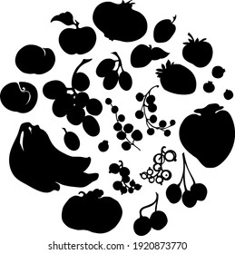 Contour drawing of fruits.Silhouettes of different fruits. Impressions of cherries, apples, pomegranates, grapes, blueberries,currants, plums, persimmons. Healthy food, food, drinks, juices. 