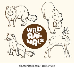 Contour drawing illustration of a set of wild animals: fox, bear, ermine and roe