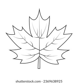 Contour drawing of a maple leaf. Autumn leaf