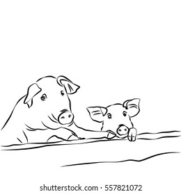 Contour drawing. Pig with piglet.