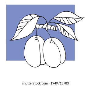  Contour drawing of a plum. Vector image.