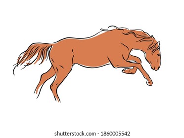 Contour drawing of a running horse. The horse is frolicking. Vector illustration on white background.