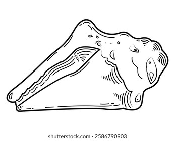 The contour drawing of the shell. Black and white image on a white background.