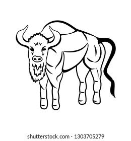 contour drawing of wild animal bison