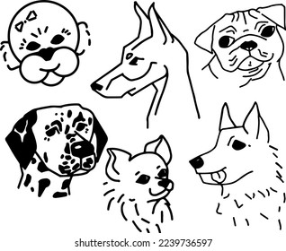 Contour drawings of dogs of various breeds: doberman, bichon frize, poodle, pug, chihuahua, great dane, dalmatian