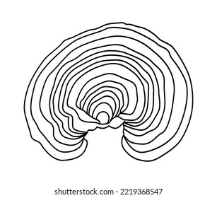 Contour drawings Lacquered Tinder mushroom, or lacquered Ganoderma (also possible names Lingzhi or Reishi (Ganoderma lucidum)
