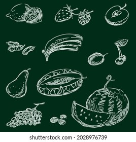 Contour drawings of watercolor brush of various fruits