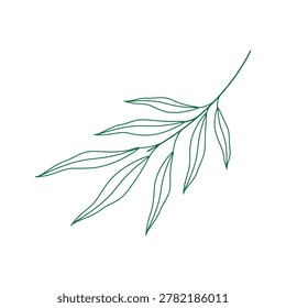 Contour drawn olive twig Hand drawn Minimalist Botanical design element Media post or Promo material. Isolated Vector illustration Seasonal greeting Thematic element, print ornament, cards, print, tag