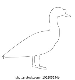 contour of duck bird, goose