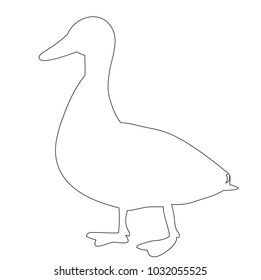 contour duck, goose