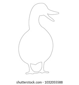 contour duck on white background