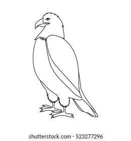 contour eagle in standing position