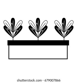 contour ecological plants with leaves inside flowerpot