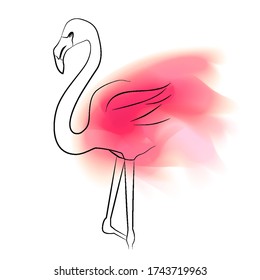 Contour flamingo with pink paint stains on a white background. Watercolor color smudges of paint. Vector outline bird for cards, banners and your creativity.