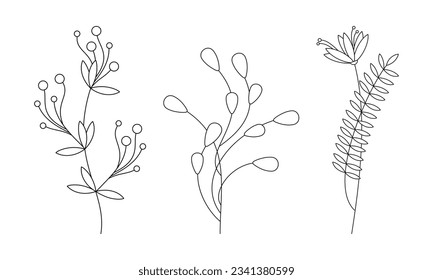 Contour flower icon set vector. Hand drawn line leaves branch outline silhouette isolated. Floral drawing, graphic design, linear print, card, poster, logo, sign, symbol, botanical illustration.