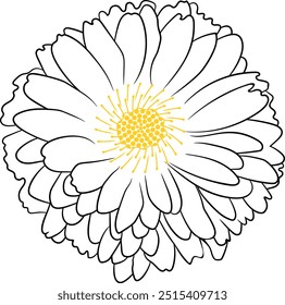 Contour flower. Vector isolated flower