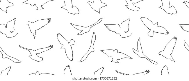 Contour of flying birds, isolated. Seamless pattern. Vector illustration