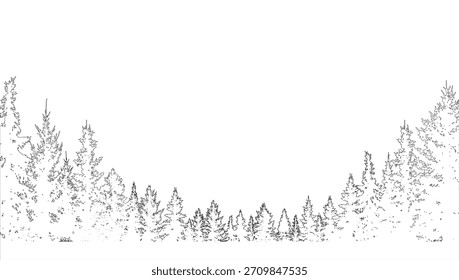 Kontur des Waldes, Nadelbäume.  Vektorgrafik