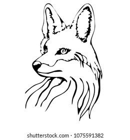 Contour fox vector logo