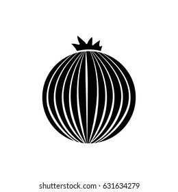contour fresh onion organ vegetable food