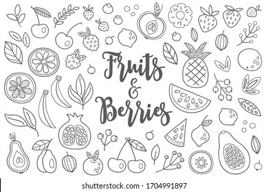 Contour fruits and berries - cherry, apple, blackberry, watermelon, lemon, strawberry, pineapple, pear, plum, banana, orange, kiwi, pomegranate, leaves. Perfect for preserves, jam, healthy food