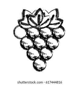 contour grapes fruit icon image