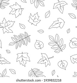 Contour graphic leaves. Black and white background. Botanical illustration. Seamless pattern. Vector.